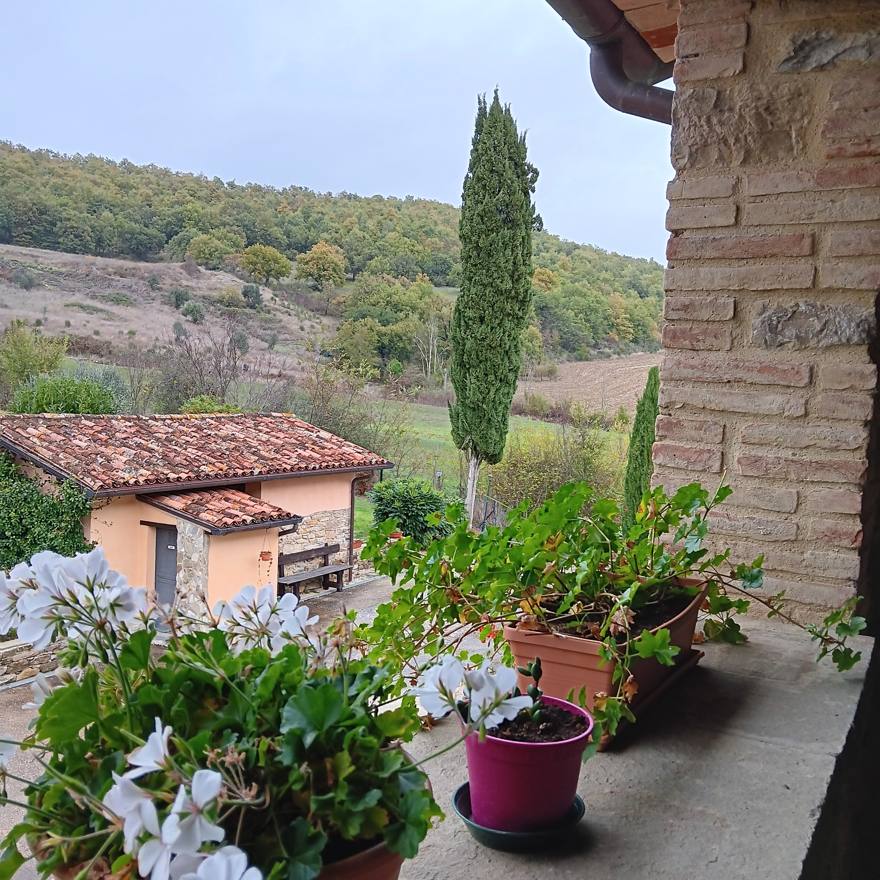 The covered terrace and cypress