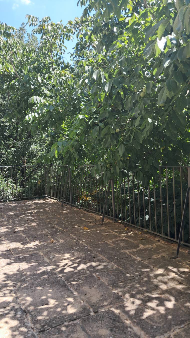 The Garden Apartment private terrace under the walnut tree