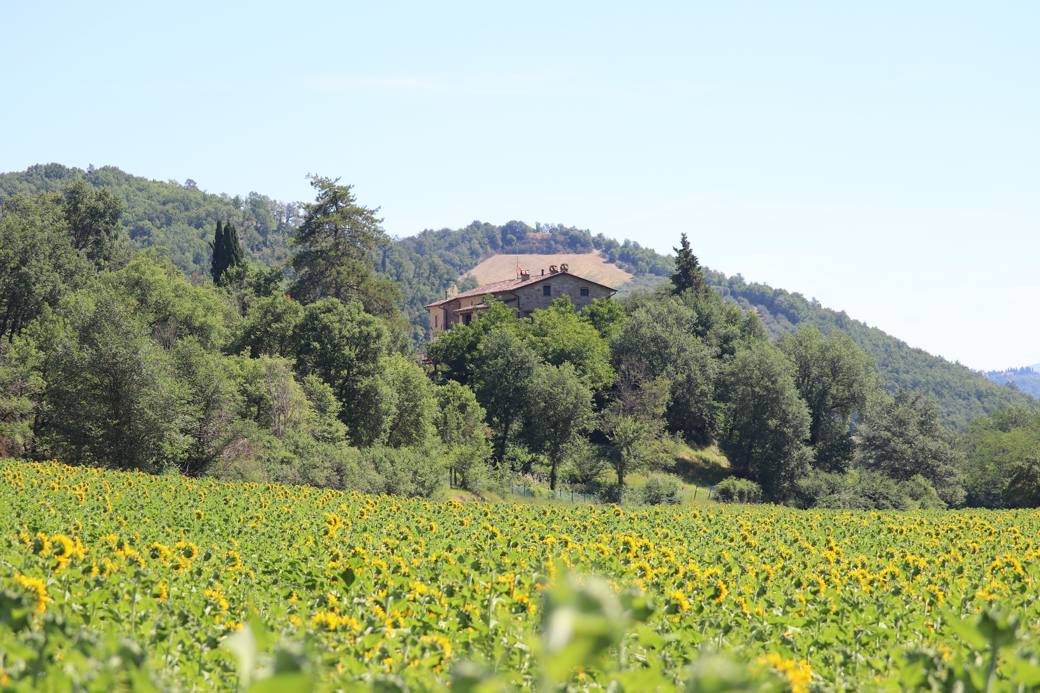 The casale on its hill above a field of sunflowers
